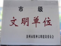 喜訊！公司榮獲“市級文明單位”稱號